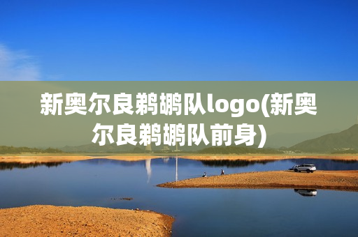 新奥尔良鹈鹕队logo(新奥尔良鹈鹕队前身)