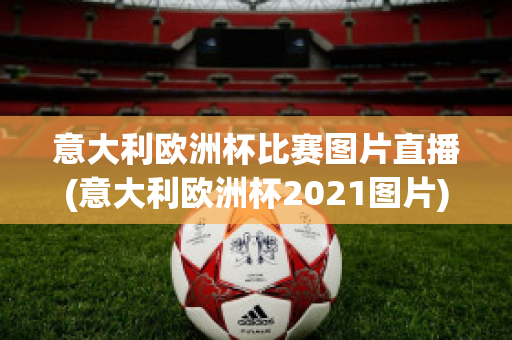 意大利欧洲杯比赛图片直播(意大利欧洲杯2021图片)