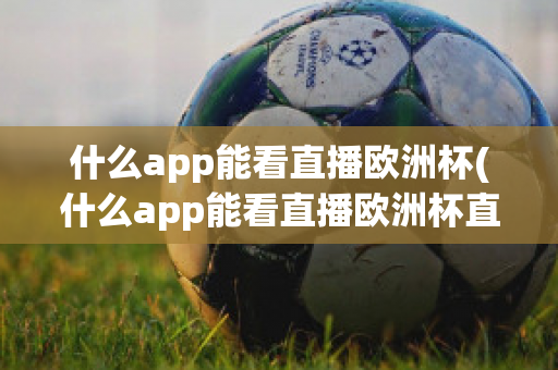 什么app能看直播欧洲杯(什么app能看直播欧洲杯直播)