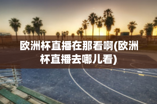 欧洲杯直播在那看啊(欧洲杯直播去哪儿看)