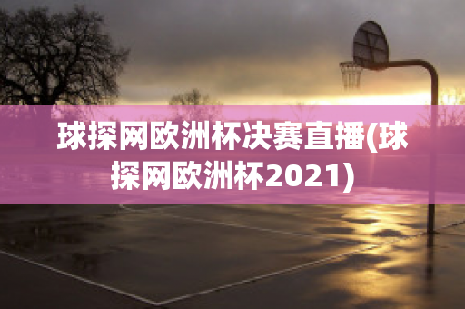 球探网欧洲杯决赛直播(球探网欧洲杯2021)