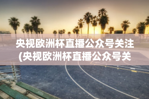 央视欧洲杯直播公众号关注(央视欧洲杯直播公众号关注是真的吗)