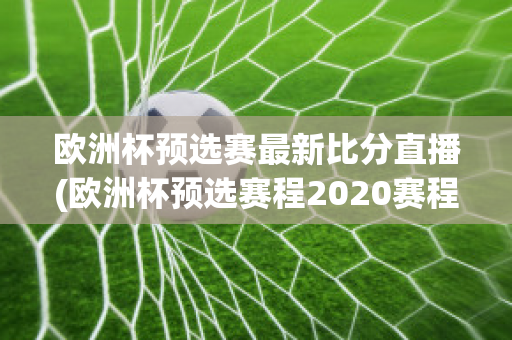 欧洲杯预选赛最新比分直播(欧洲杯预选赛程2020赛程表)