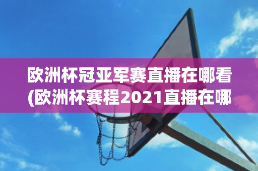 欧洲杯冠亚军赛直播在哪看(欧洲杯赛程2021直播在哪里看)