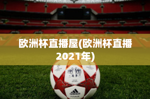 欧洲杯直播屋(欧洲杯直播2021年)