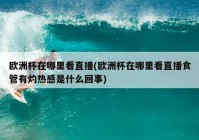 欧洲杯央视直播预报:欧洲杯央视直播安排