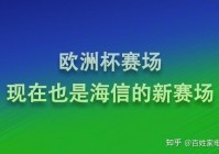 个人直播欧洲杯侵权吗:个人直播欧洲杯侵权吗知乎