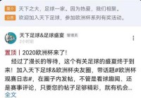 看欧洲杯直播是哪个网:看欧洲杯直播是哪个网站的