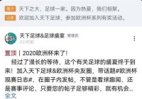 用电脑看央视欧洲杯直播:用电脑看央视欧洲杯直播可以吗