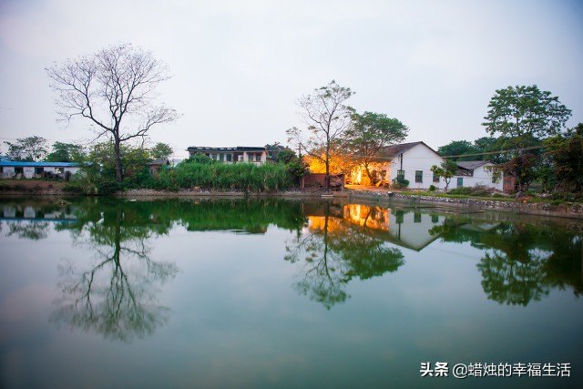 欧洲杯直播效果图片大全:欧洲杯直播效果图片大全高清