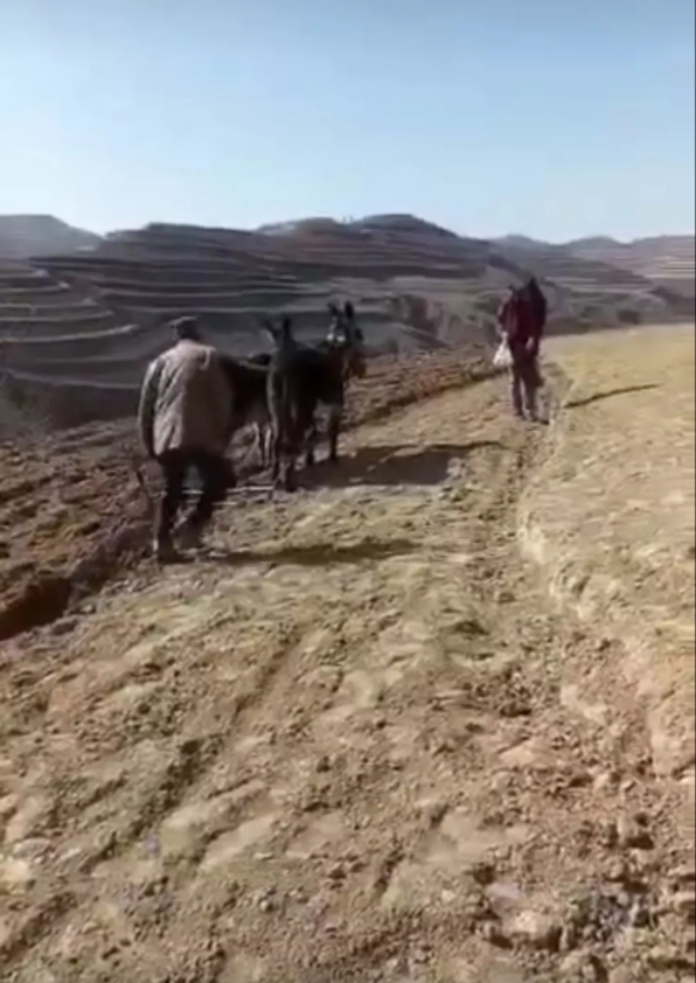 欧洲杯全球直播大地:欧洲杯 大地直播