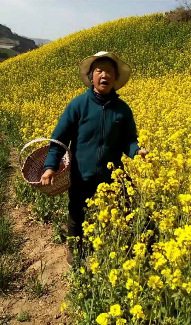 欧洲杯全球直播大地:欧洲杯 大地直播