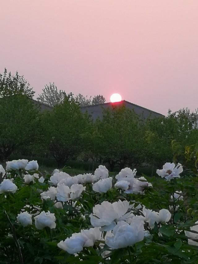 欧洲杯全球直播大地:欧洲杯 大地直播