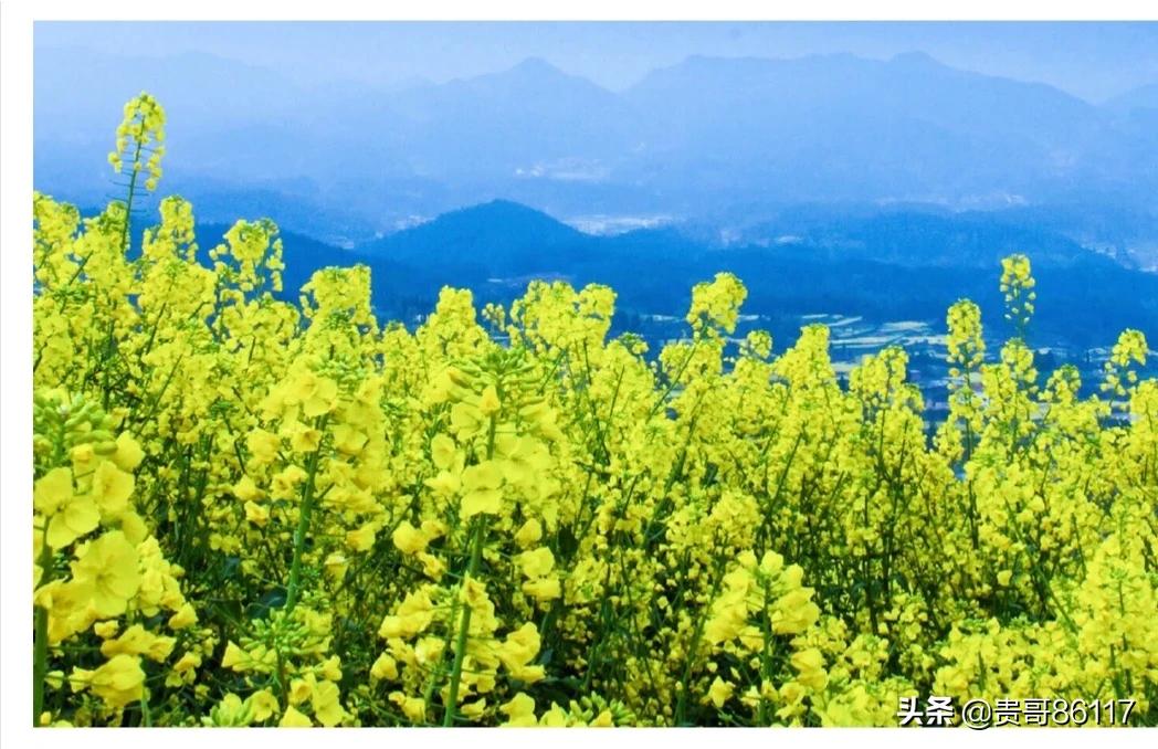 欧洲杯全球直播大地:欧洲杯 大地直播