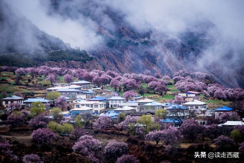 秀山哪里可以看欧洲杯直播:秀山哪里可以看欧洲杯直播的