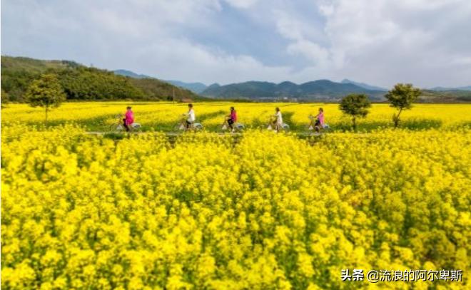 洛阳欧洲杯直播:洛阳欧洲杯直播平台