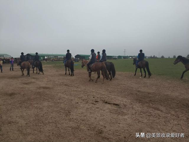 呼市哪里可以看欧洲杯直播:呼市哪里可以看欧洲杯直播的