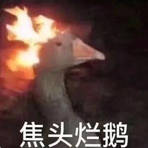 欧洲杯夜宵直播专场在哪:欧洲杯夜宵直播专场在哪看