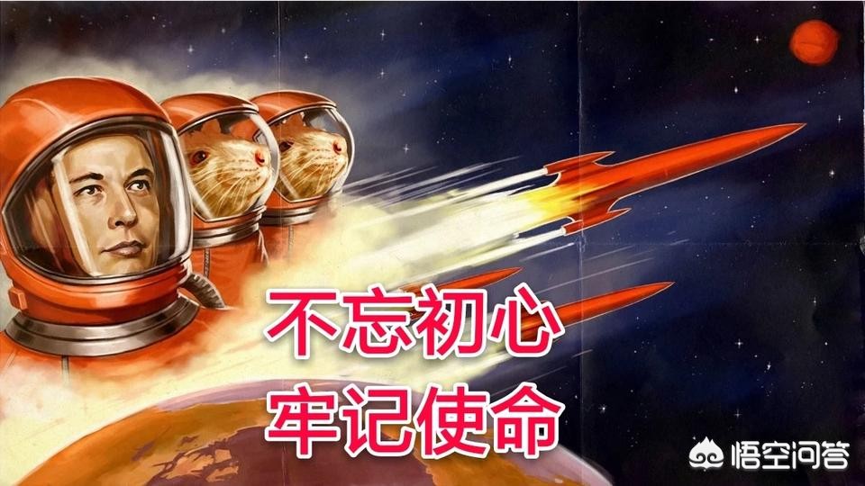 火星直播欧洲杯:火星直播欧洲杯在线观看