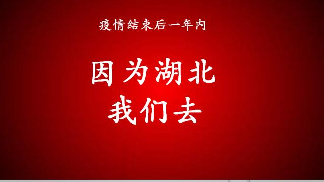 欧洲杯财神直播:欧洲杯财神直播在哪看