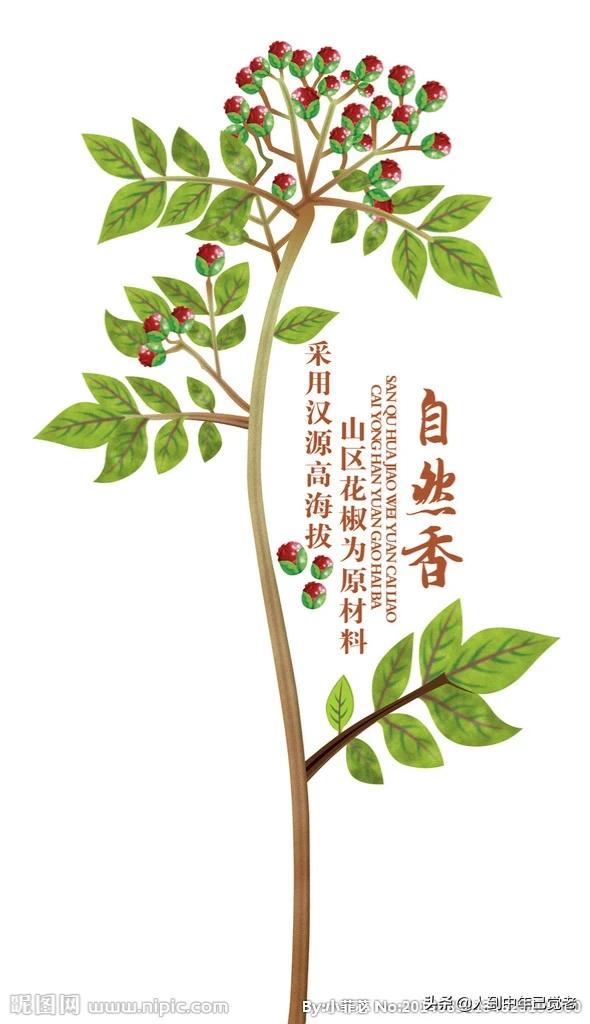 花椒直播可以看欧洲杯:花椒直播可以看欧洲杯吗