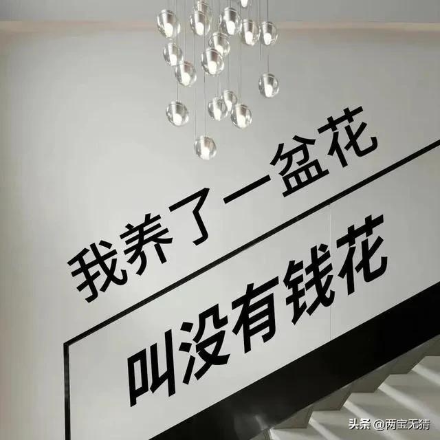 鸡腿哥欧洲杯直播详解:鸡腿哥什么意思