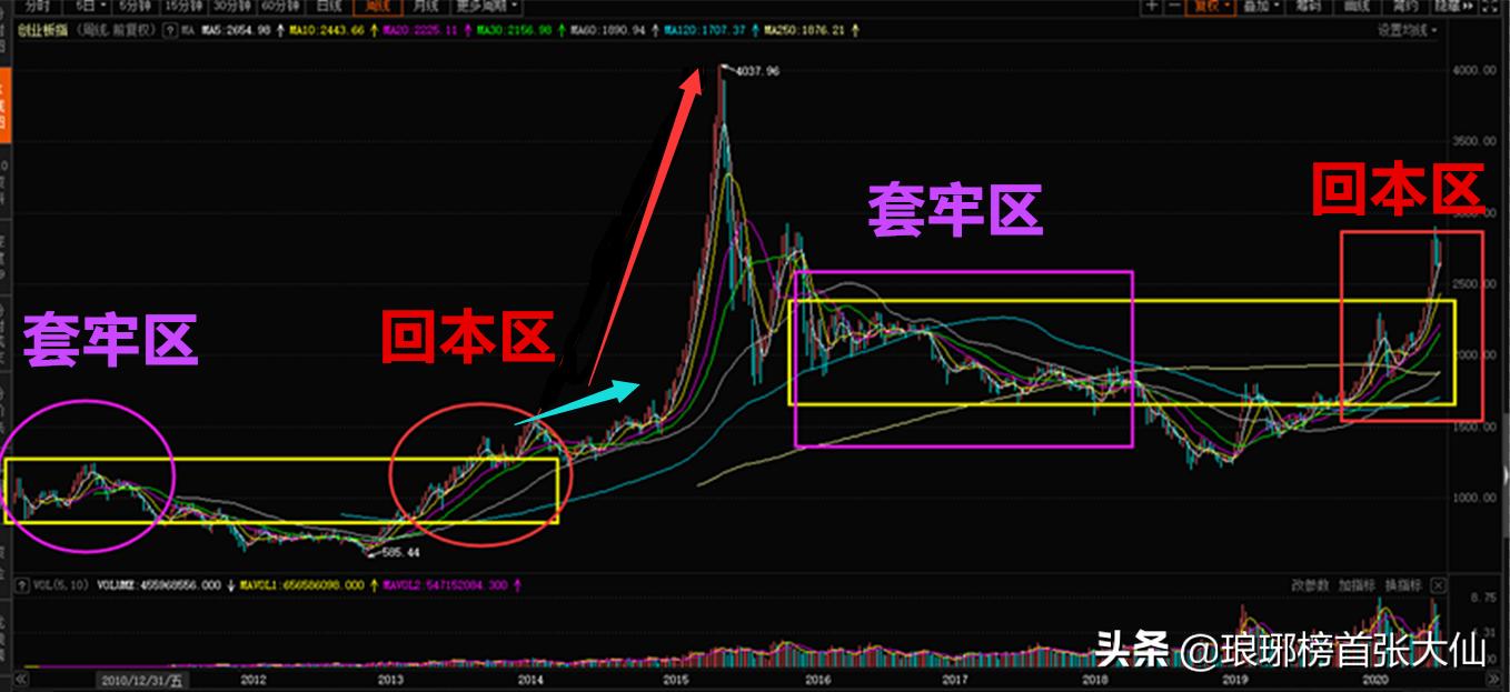 欧洲杯直播小仓:欧洲杯直播小仓鼠视频