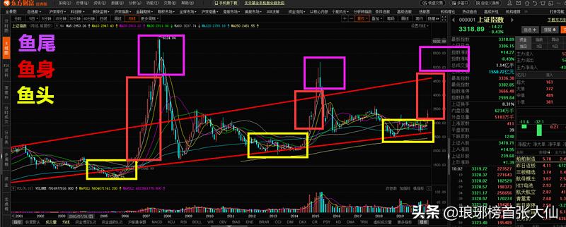 欧洲杯直播小仓:欧洲杯直播小仓鼠视频