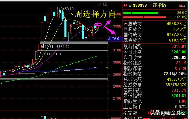 欧洲杯直播小仓:欧洲杯直播小仓鼠视频