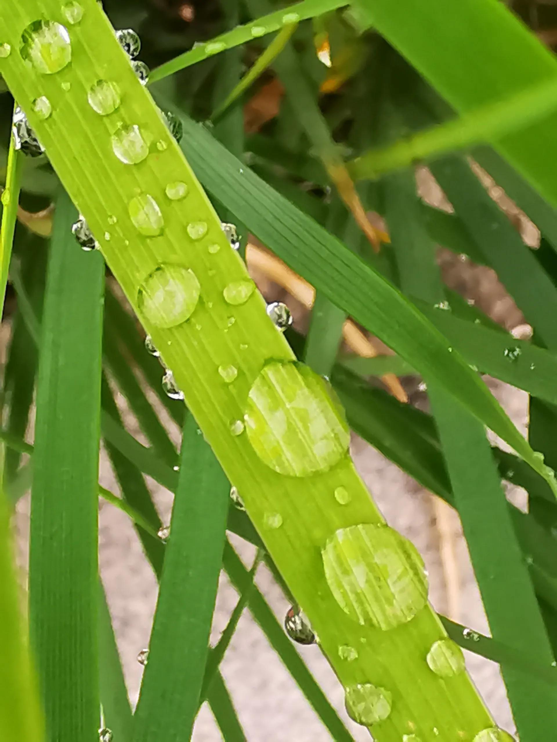 莆田能看欧洲杯直播吗现在:莆田能看欧洲杯直播吗现在几点开始