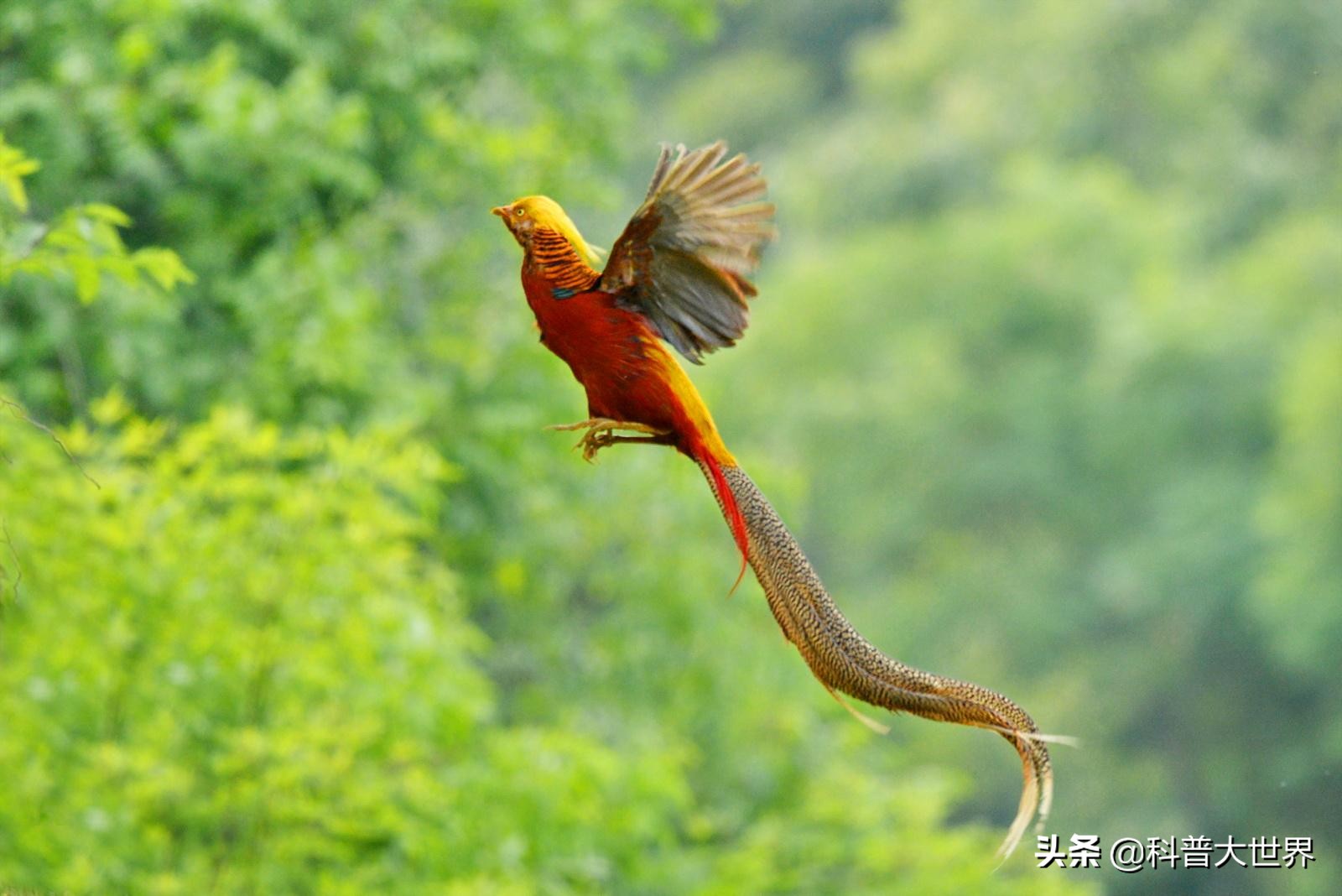 运城欧洲杯直播:运城欧洲杯直播平台