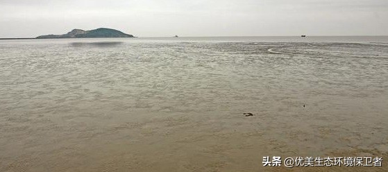 海安哪里可以看欧洲杯直播:海安哪里可以看欧洲杯直播的