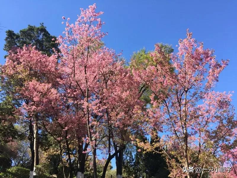 集宁在哪看欧洲杯直播啊:集宁在哪看欧洲杯直播啊最新