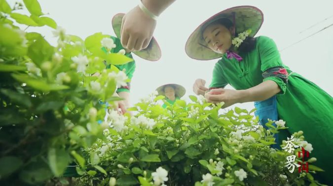 永川欧洲杯直播时间:永川欧洲杯直播时间表