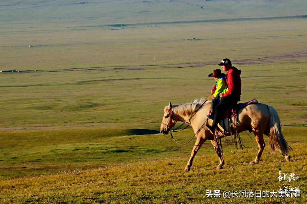 青州欧洲杯直播平台在哪:青州欧洲杯直播平台在哪里