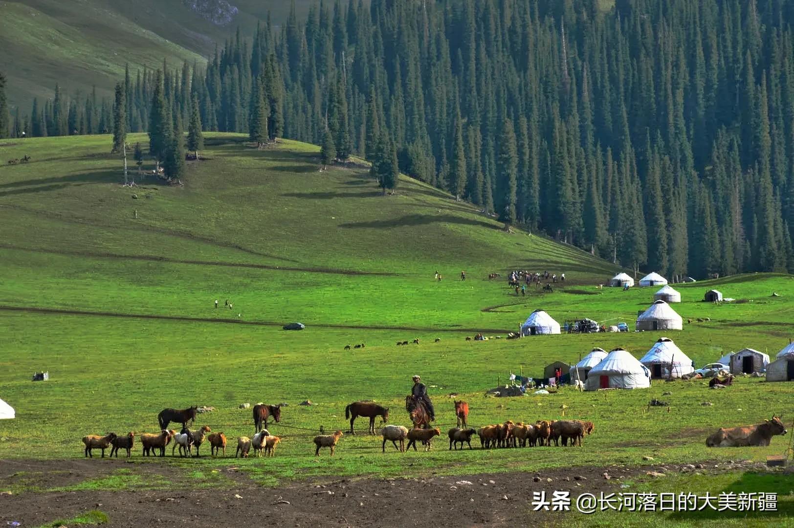 青州欧洲杯直播平台在哪:青州欧洲杯直播平台在哪里