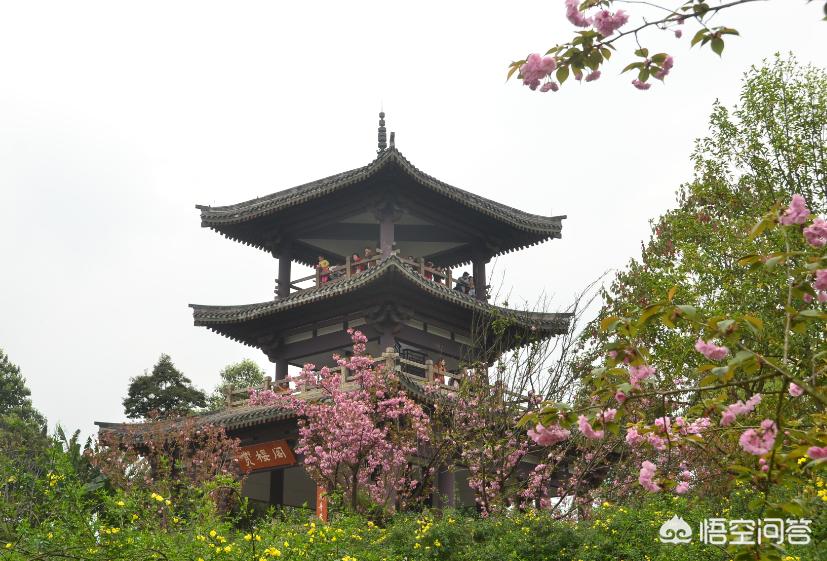 沙河哪里可以看欧洲杯直播:沙河哪里可以看欧洲杯直播的