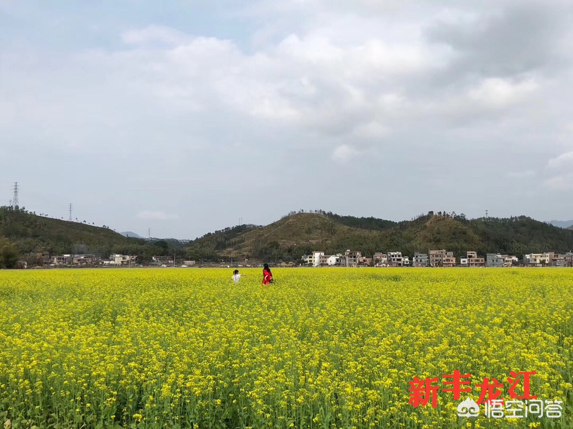 汕头哪里能看欧洲杯直播:汕头哪里能看欧洲杯直播的