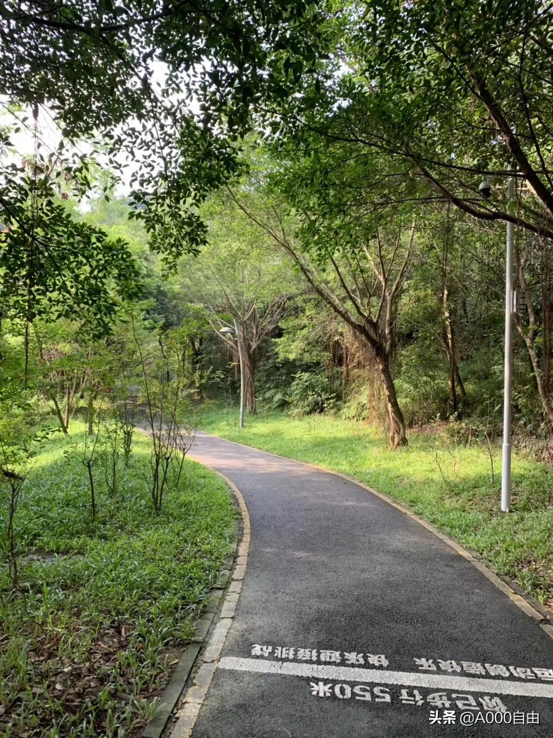 深圳线下看欧洲杯直播:深圳线下看欧洲杯直播的地方