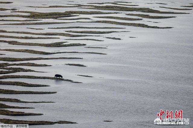 欧洲杯今日天气实况直播:欧洲杯今天天气