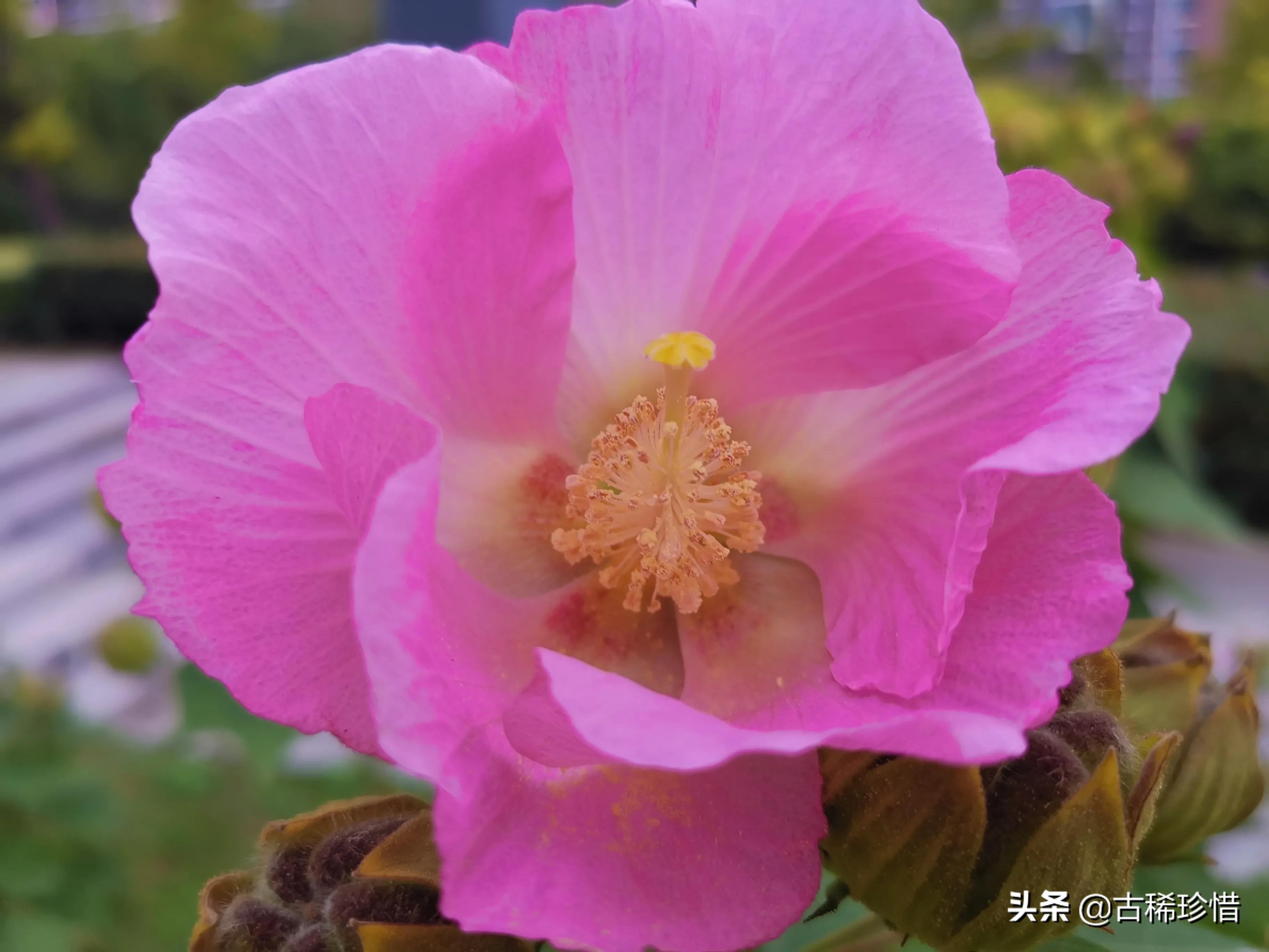 芜湖哪里有看欧洲杯直播的:芜湖哪里有看欧洲杯直播的地方