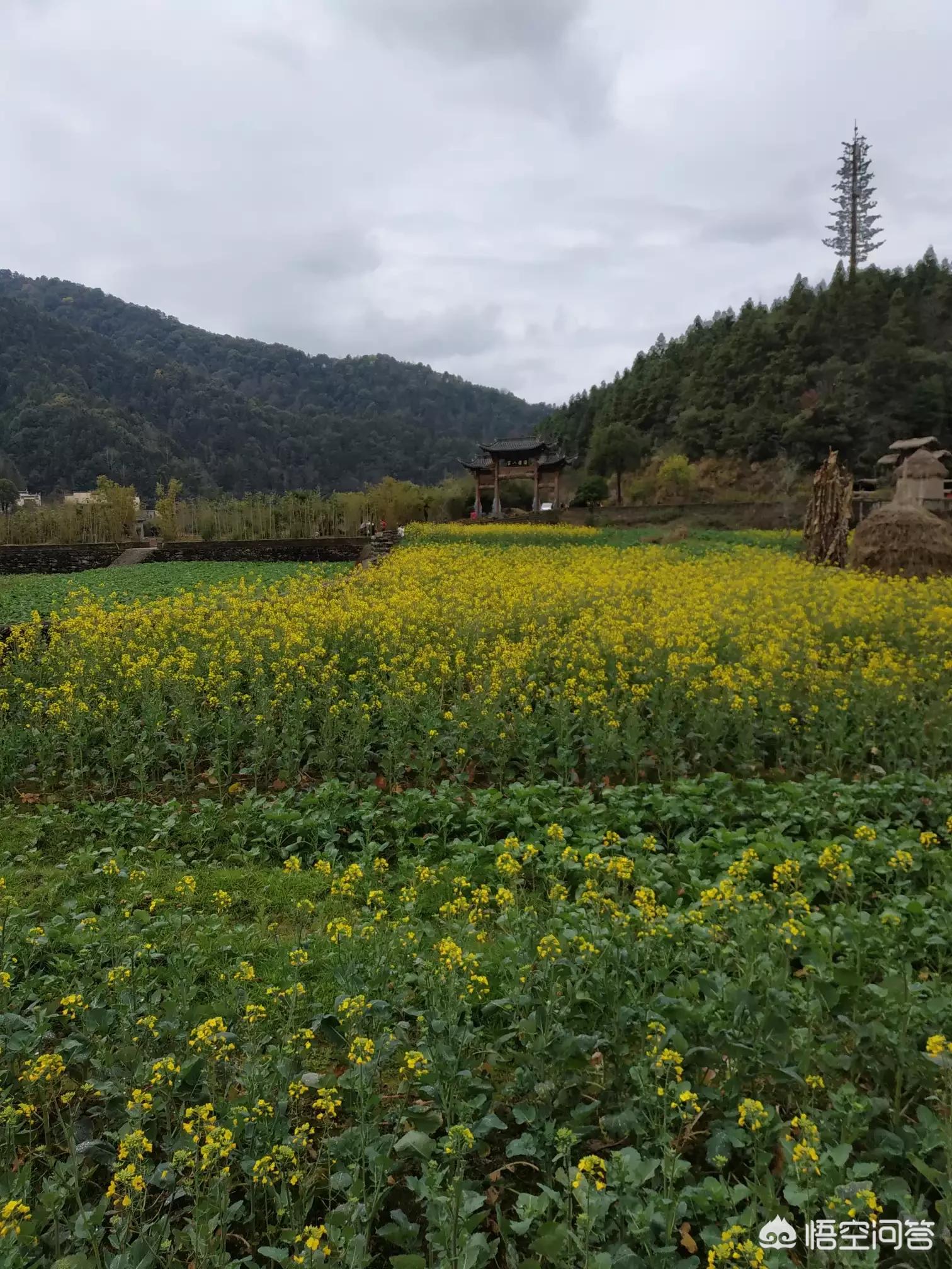 新浪如何看欧洲杯战绩直播:新浪如何看欧洲杯战绩直播视频