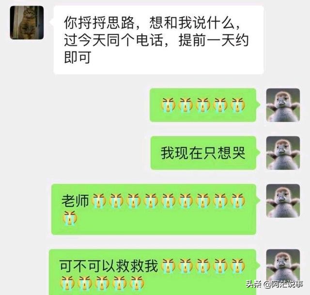 欧洲杯直播no胖:欧洲杯直播低调