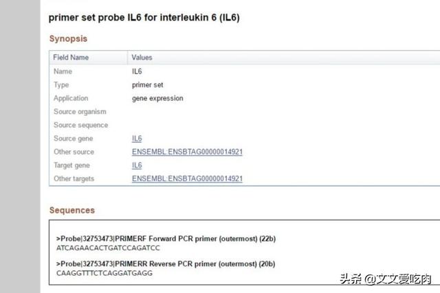 欧洲杯现场数据库直播视频:欧洲杯现场数据库直播视频下载