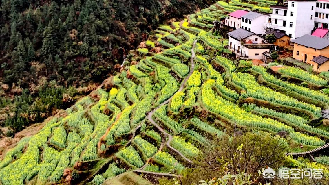 襄阳欧洲杯在哪看直播的:襄阳欧洲杯在哪看直播的啊