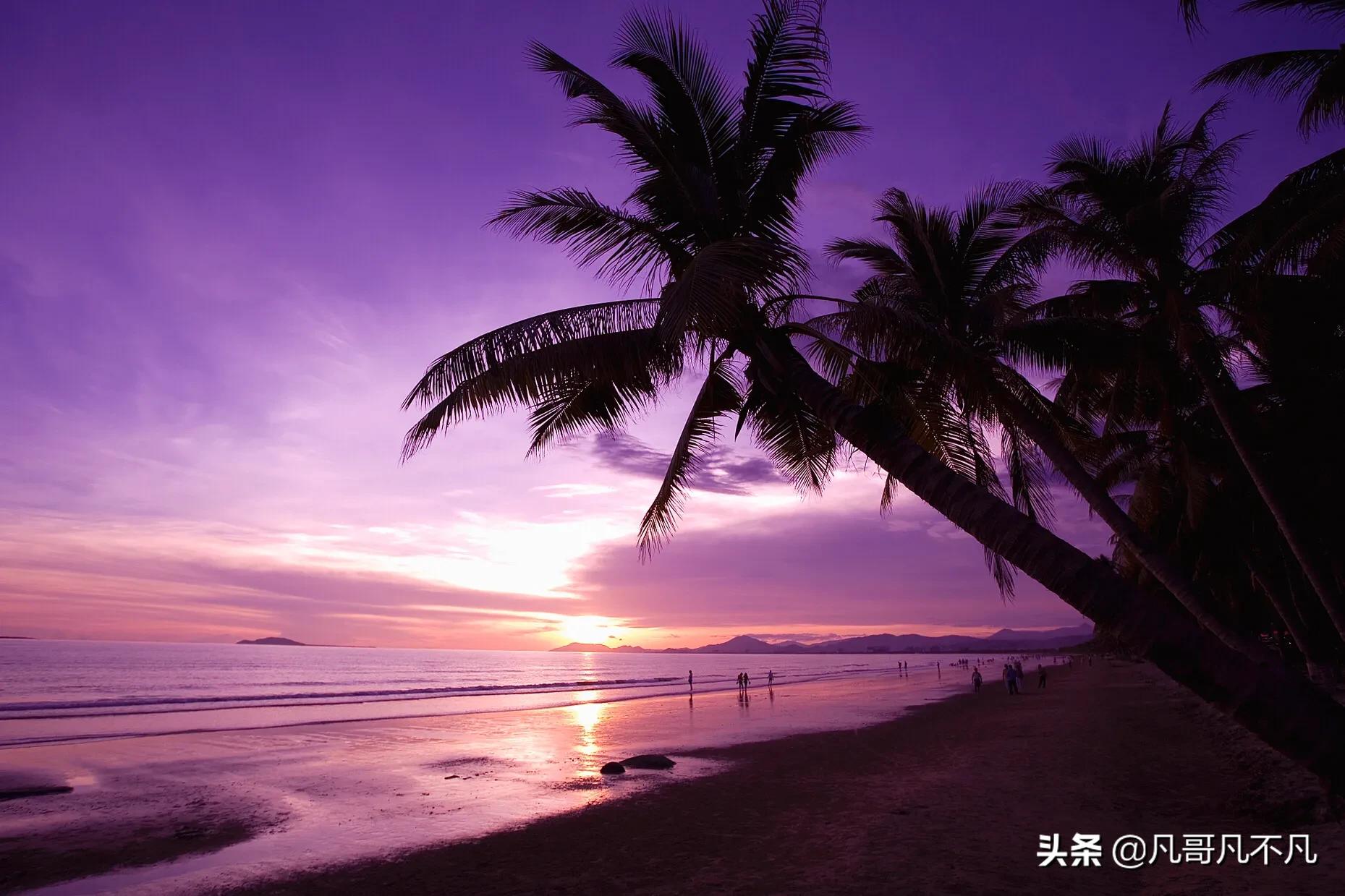 海丰看欧洲杯直播免费吗:海丰看欧洲杯直播免费吗现在