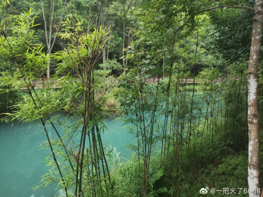 中山哪里有欧洲杯直播的:中山哪里有欧洲杯直播的地方